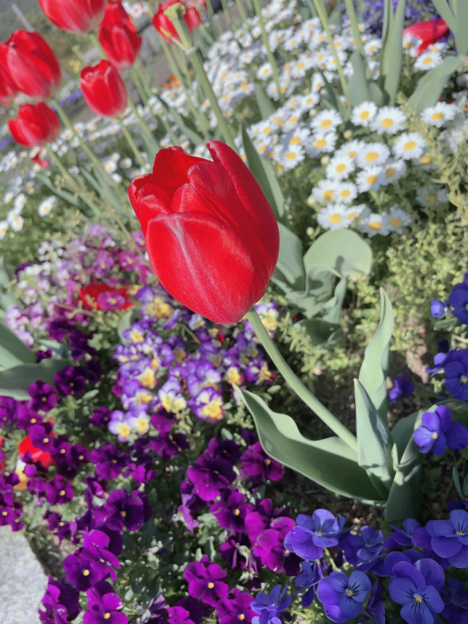 今日のドレス 大垣 遊ばナイト キャスト検索 50人以上の女子大生,OL,グラビア,モデル等が登録中! 大垣で